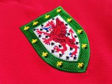 Retro Wales Home 1:1 Quality Soccer Jersey  1976-1979
