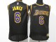 NBA Lakers # 6 James award black