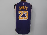 NBA Lakers #23 James purple