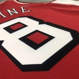NBA  Bulls LAVINE #8 Red Top Quality Hot Pressing