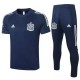 Spain Blue Training Tracksuit 2020
