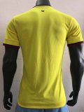 Colombia Home  Player   1：1  2020 2021