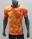 Netherlands Special Edition Fans  22-23