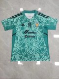 Tiger goalkeeper  Fans 1:1 Quality Soccer Jersey  22-23