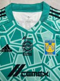 Tiger goalkeeper  Fans 1:1 Quality Soccer Jersey  22-23