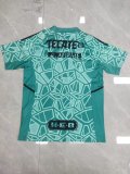 Tiger goalkeeper  Fans 1:1 Quality Soccer Jersey  22-23