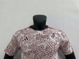 Mexico Away    Player  1:1 Quality Soccer Jersey  22-23