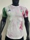 Italy Training Player  1:1 Quality Soccer Jersey   23-24