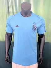 Argentina Training  Fans 3 Stars  1:1 Quality Soccer Jersey   22-23