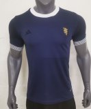 Scotland Memorial Edition Fans 1:1 Quality Soccer Jersey   23-24