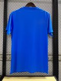 Napoli Champions Edition Blue  Fans 1:1 Quality Soccer Jersey   23-24