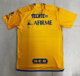Tiger Home Fans 1:1 Quality Soccer Jersey  23-24