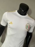 ltaly 125th Anniversary Edition Player  1:1 Quality Soccer Jersey   23-24