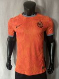 Inter Milan Third Away  Player 1:1 Quality Soccer Jersey    23-24
