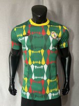 Senegal  Away Player  1:1 Quality Soccer Jersey  23-24
