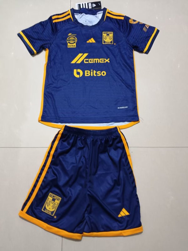 Tiger  Away kids  23-24