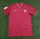 Sevilla Away Fans  1:1 Quality Soccer Jersey   23-24