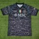 Napoli Special Edition  Fans 1:1 Quality Soccer Jersey   23-24