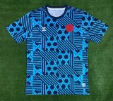Denmark Training clothing Fans 1:1 Quality Soccer Jersey  23-24