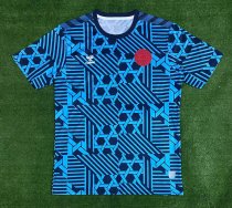 Denmark Training clothing Fans 1:1 Quality Soccer Jersey  23-24