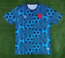 Denmark Training clothing Fans 1:1 Quality Soccer Jersey  23-24