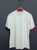 Nice Away  Fans  1:1 Quality Soccer Jersey   23-24