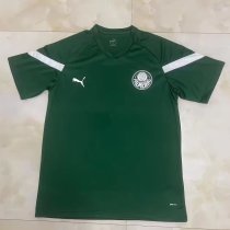Palmeiras Training clothing green fans 1:1 Quality Soccer Jersey    23-24