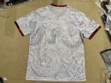 Corinthians Special Edition  Fans  1:1 Quality Soccer Jersey  23-24