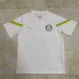 Palmeiras Training clothing white fans 1:1 Quality Soccer Jersey    23-24
