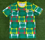 Senegal Training clothing Fans  1:1 Quality Soccer Jersey  23-24