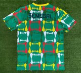 Senegal Training clothing Fans  1:1 Quality Soccer Jersey  23-24