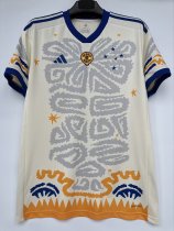 Cruzeiro Special Edition fans 1:1 Quality Soccer Jersey   23-24