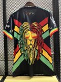 Ajax Special Edition Fans 1:1 Quality Soccer Jersey   23-24