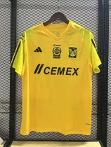 Tiger Training clothing Fans 1:1 Quality Soccer Jersey  23-24