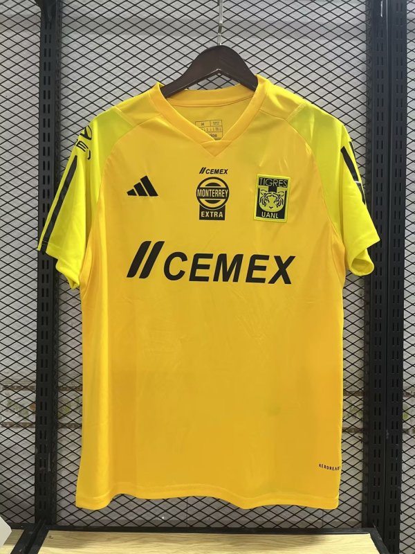 Tiger Training clothing Fans 1:1 Quality Soccer Jersey  23-24