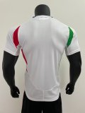 Italy Away  Player  1:1 Quality Soccer Jersey   24-25