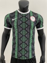 Nigeria Special Edition Player  1:1 Quality Soccer Jersey  23-24