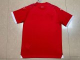 Switzerland Home Fans 1:1 Quality Soccer Jersey  23-24
