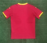 Guinea  Home Fans 1:1 Quality Soccer Jersey  24-25