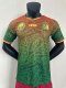 Cameroon Special Edition   Player  1:1 Quality Soccer Jersey  24-25