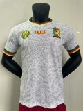 Cameroon Special Edition   Player  1:1 Quality Soccer Jersey  24-25