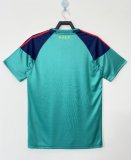 Retro Spain World Cup goalkeeper Fans  1:1 Quality Soccer Jersey    2010