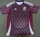 Mexico Home   Fans  1:1 Quality Soccer Jersey   24-25
