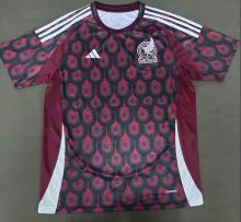Mexico Home   Fans  1:1 Quality Soccer Jersey   24-25