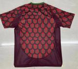 Mexico Home   Fans  1:1 Quality Soccer Jersey   24-25
