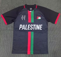 Palestino  away   Fans  1:1  23-24