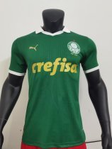 Palmeiras Home player 1:1 24-25