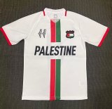 Palestino  home   Fans  1:1  23-24