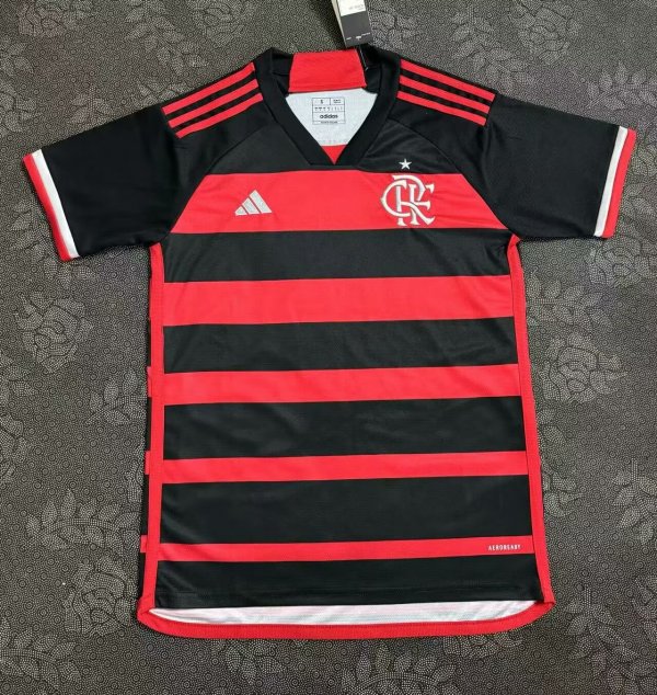 Flamenco home Fans  1:1  24-25
