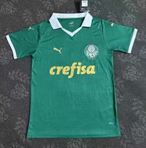 Palmeiras home fans 1:1   24-25